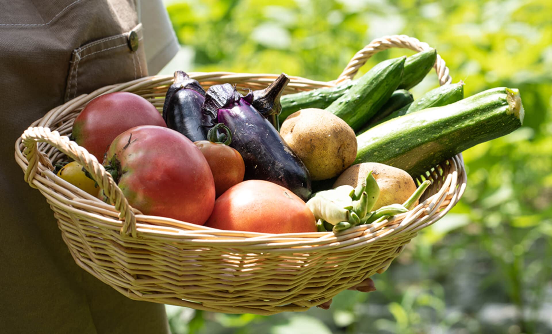 規格外野菜の活用