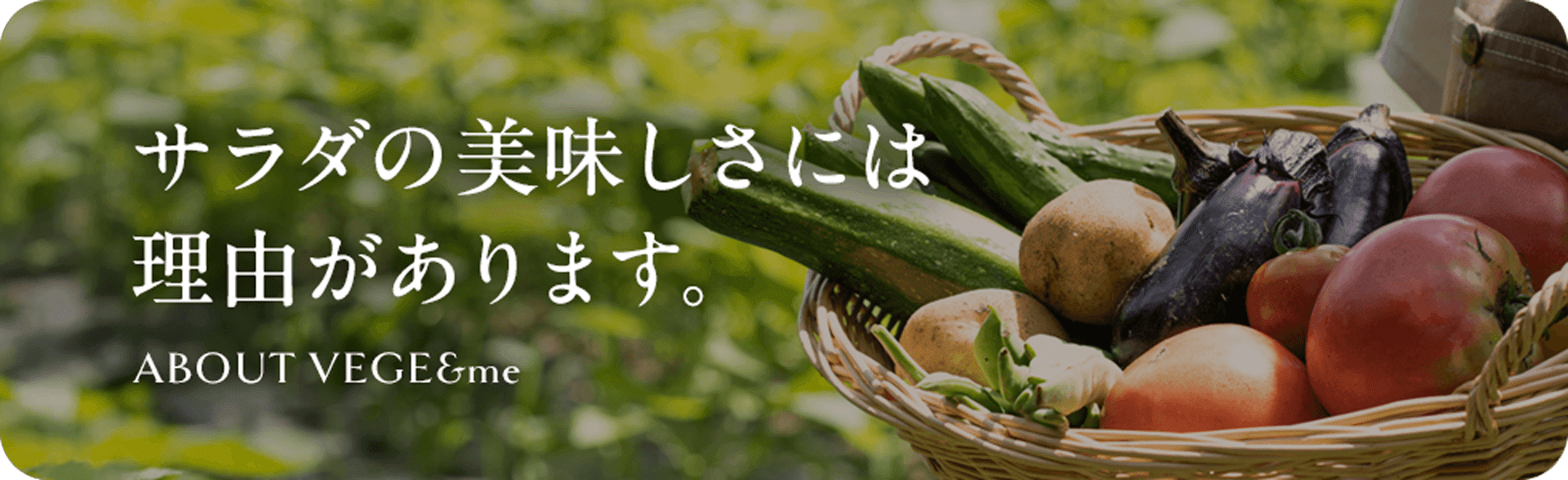 サラダの美味しさには理由がある - VEGE&meのこだわり